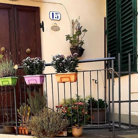 La Vecchia Firenze Apartment Bagian luar foto