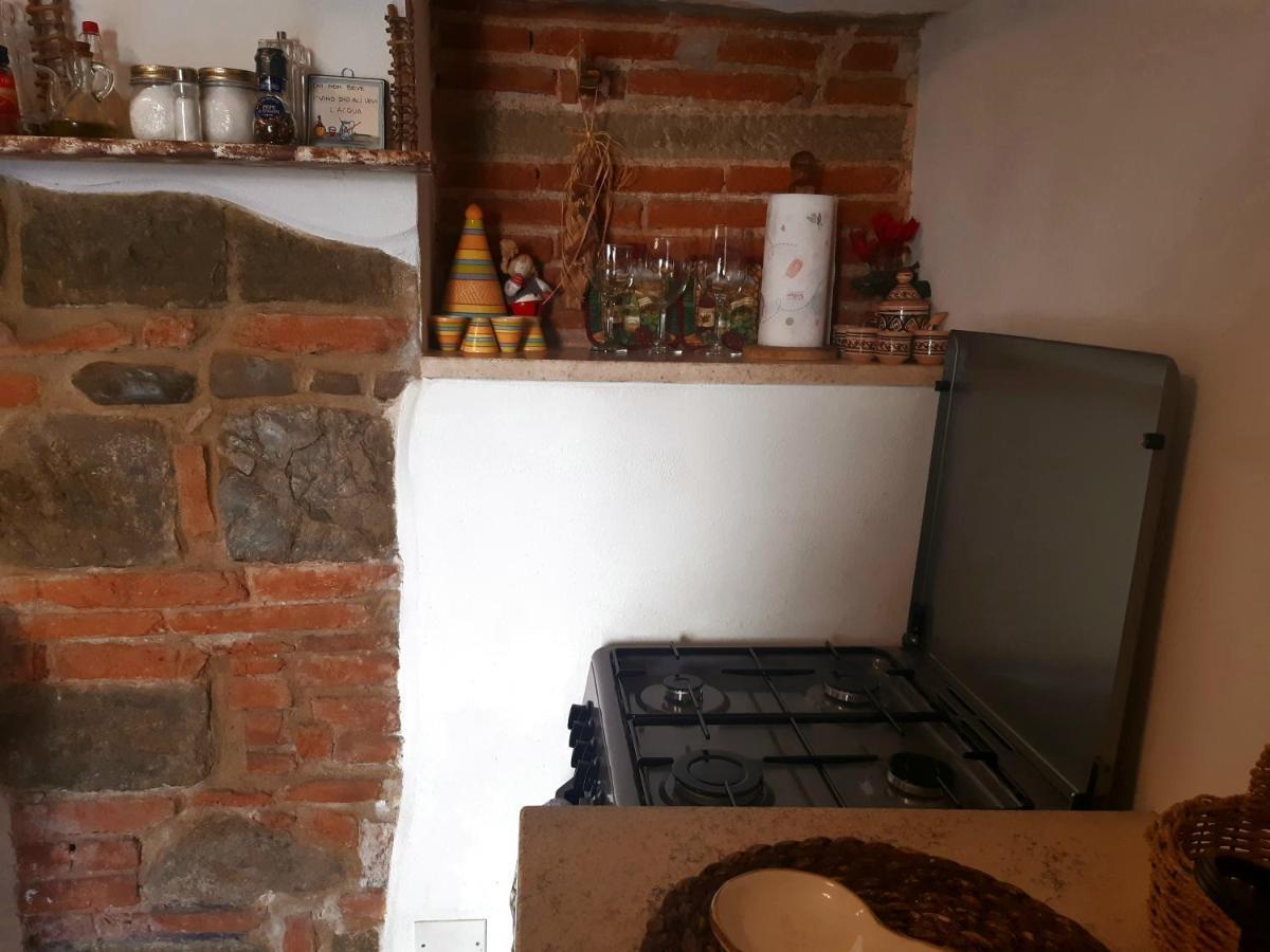 La Vecchia Firenze Apartment Bagian luar foto