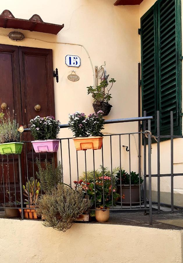 La Vecchia Firenze Apartment Bagian luar foto