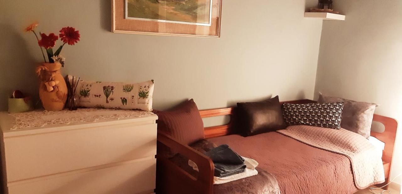 La Vecchia Firenze Apartment Bagian luar foto